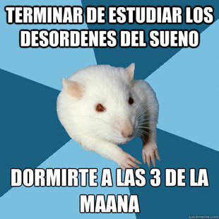 Psychology Major Rat