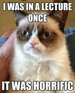 Grumpy cat