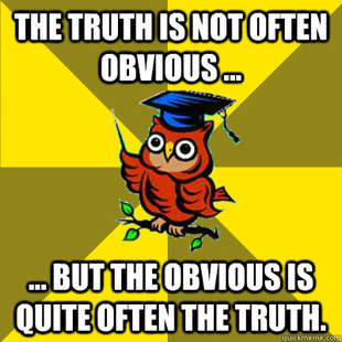 Observational Owl