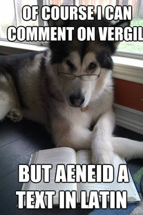 Condescending Literary Pun Dog