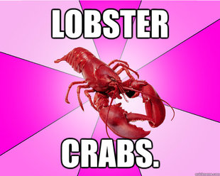 Long-term relationship Lobster