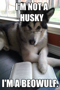 Condescending Literary Pun Dog