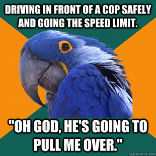 Paranoid Parrot
