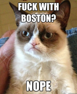 Grumpy cat