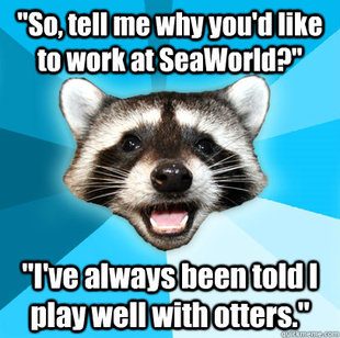 Lame Pun Coon