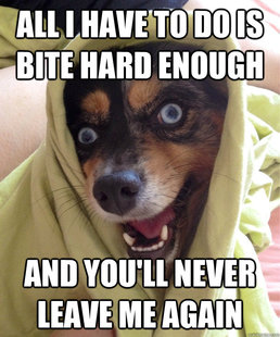 overly attached dog