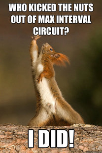 Who Run The World Squirrels