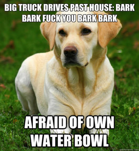 Dog Logic
