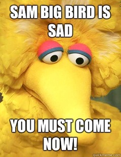 Big Bird