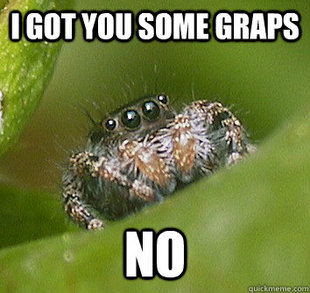 Misunderstood Spider