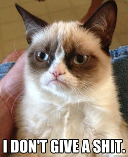 Grumpy Cat