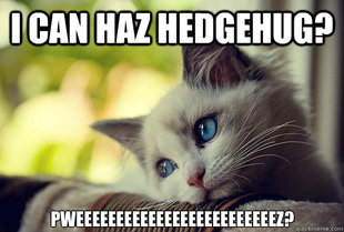 First World Cat Problems
