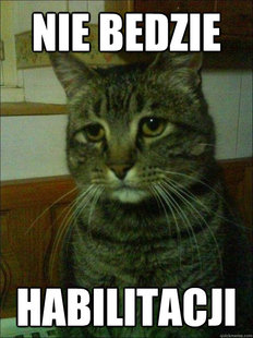Depressed cat