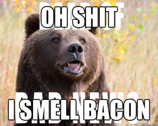 Bear of Bad News
