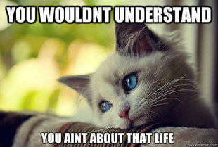 First World Problems Cat