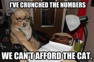 Financial Advice Dog