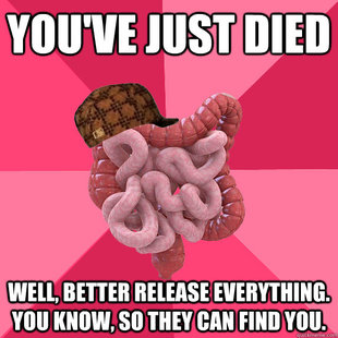 Scumbag Intestines