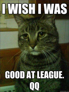 Depressed cat