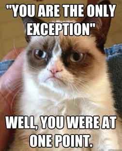 Grumpy cat