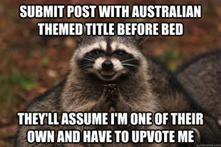 Evil Plotting Raccoon