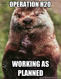 Evil Genius Otter
