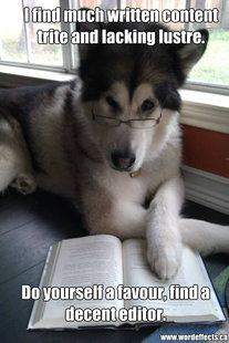 Condescending Literary Pun Dog