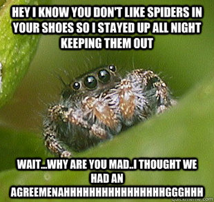 Misunderstood Spider