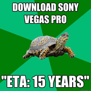 Torrenting Turtle
