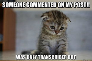 Sad Kitten