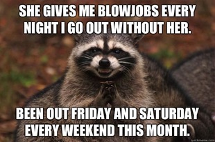 Evil Plotting Raccoon