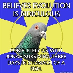Religion Pigeon