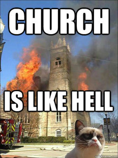 Grumpy cat