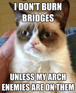 Grumpy cat