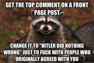Evil Plotting Raccoon