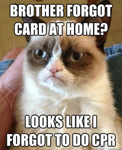 Grumpy cat