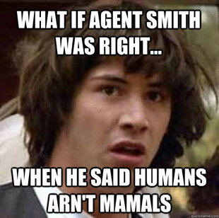 conspiracy keanu