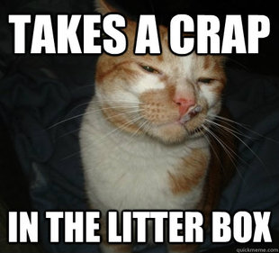 good cat greg
