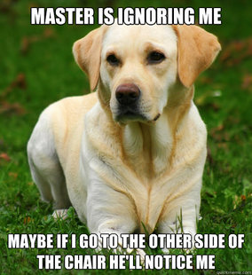 Dog Logic