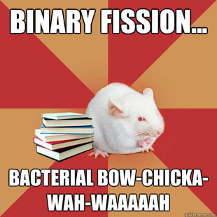 Science Major Mouse