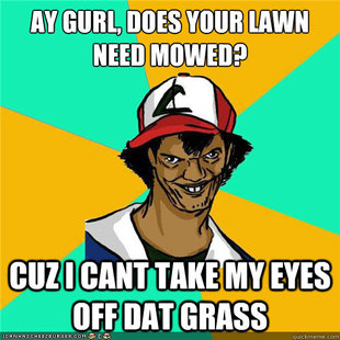 Dat ash