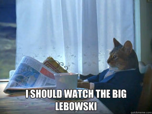 The One Percent Cat