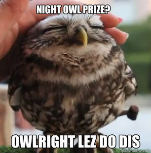 cute owl
