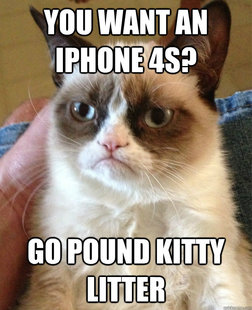 Grumpy cat