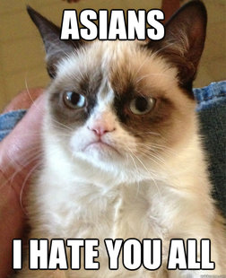 Grumpy cat