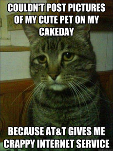 Depressed cat