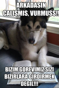 Condescending Literary Pun Dog