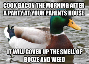 Actual Advice Mallard