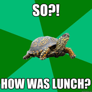 Torrenting Turtle