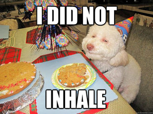 Stoned Birthday Dog