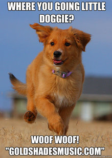 Ridiculously Photogenic Puppy